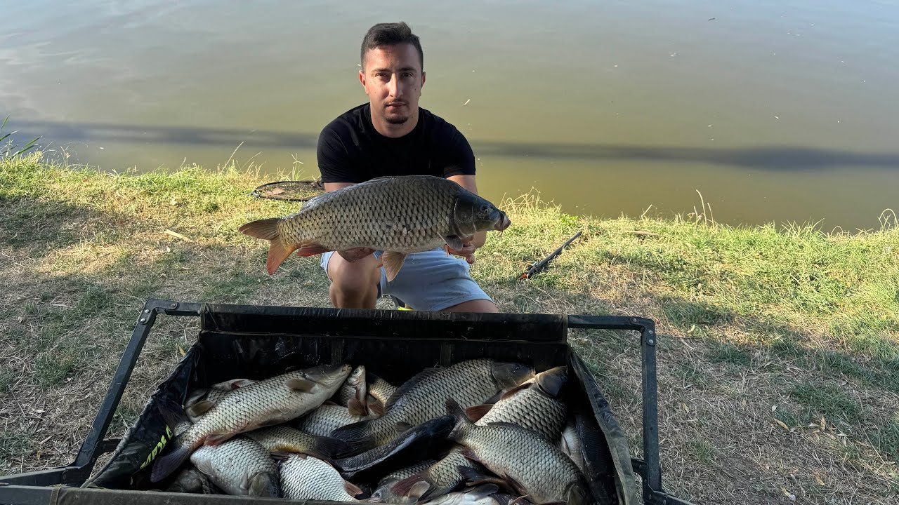 Balta BITINA || Pescuit la Method feeder alaturi de Sandu Coaja || AE BAITS 
