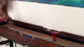Amazing Pingpong Shuffleboard Trick Shot