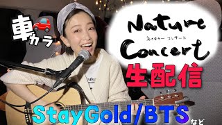 【東京夜景】ドライブしながら「Stay Gold/BTS」など弾き語り生配信【ネイチャーコンサート】