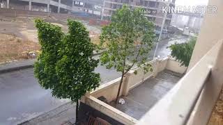 Cyclone Nisrag Live Update from My Kitchen My Dish