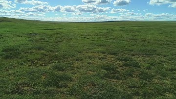 TOOL - Toolik, NEON Terrestrial Field Site | Alaska
