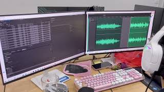 Behind The Scenes 🎧 Audio Editing Process