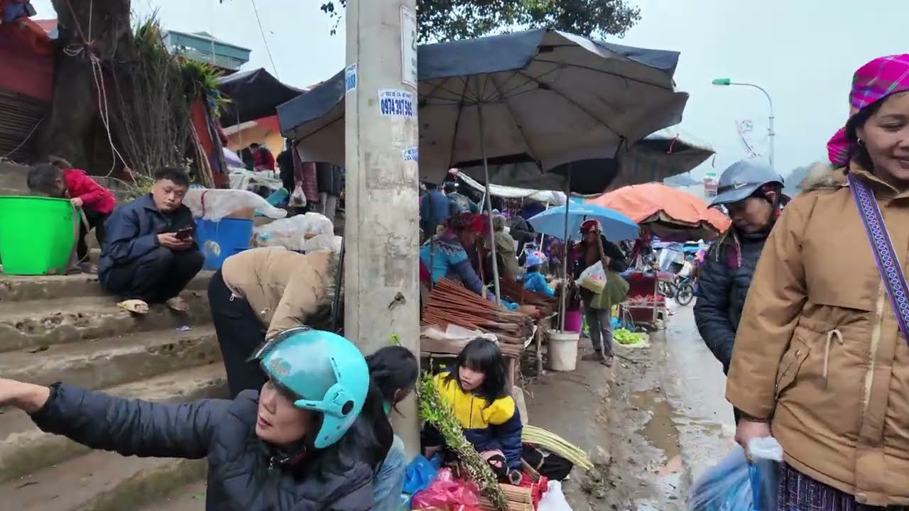 Vietnamese market fair- Hmong, Tay, Nung people, buffalo, cattle, pigs, clean vegetables and fruits.
