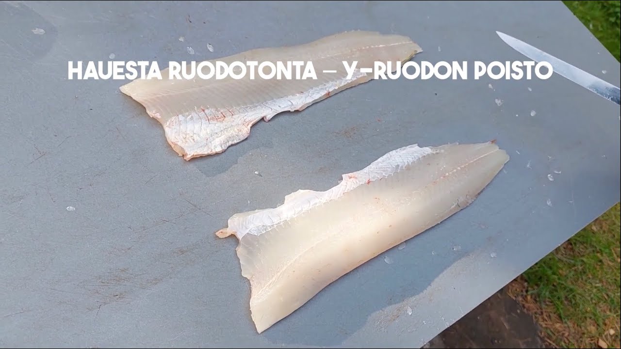 Kalastus maistuu: Hauesta ruodotonta - y-ruodon poisto