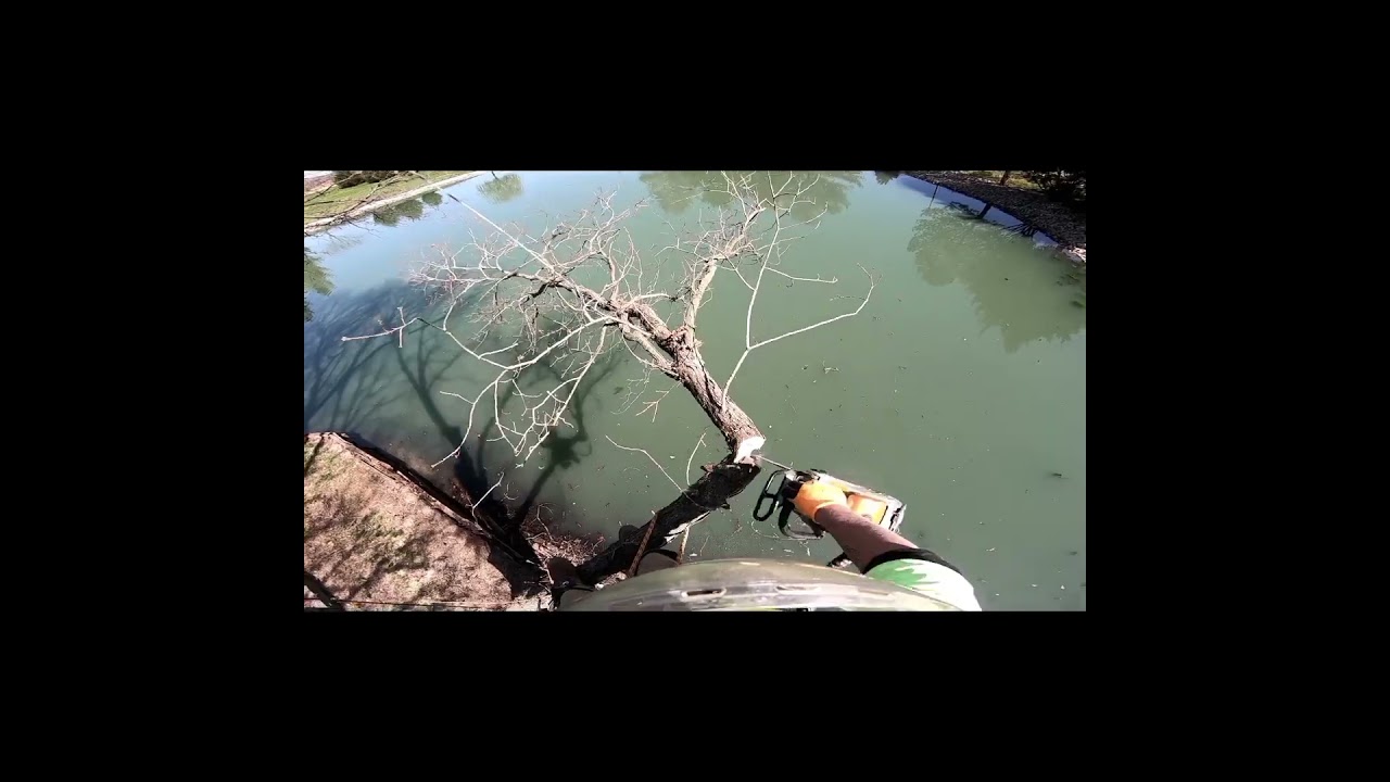 Cutting Limbs Over Water Like a Pro!