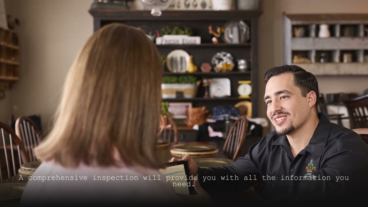 AAAC Wildlife Removal San Antonio - Bat Removal Near Me Shavano Park