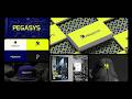 Pegasus | Visual Identity | Branding