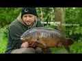 The mg rig  carp rigs  matt forshaw