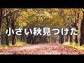【プロの声楽家が歌う】小さい秋見つけた【歌詞付き】