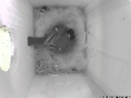 Dag 28 - 8 mei 2015 - het eerste koolmeesje!