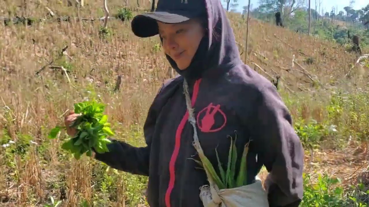 Permaculture, offgrid Lao style living. HD