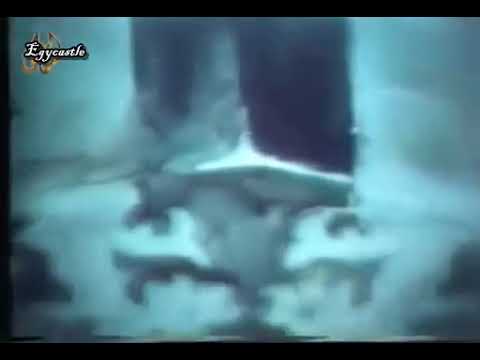 احمد عبد القادر وحوى يا وحوى 