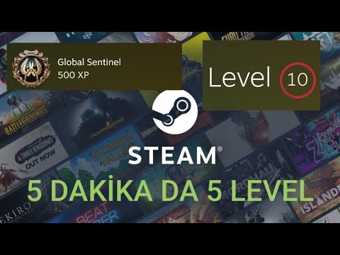 Steam kolay seviye
