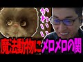 かわいい魔法動物にメロメロの関優太まとめ-Part2【ホグワーツレガシー】【関優太 切り抜き】