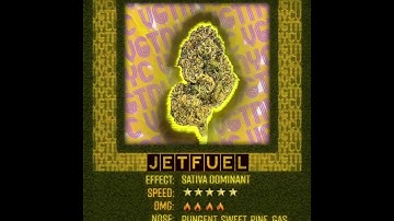 VGTNYC first NFT collection