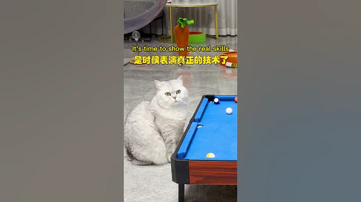尼莫：你有你的杆法，我有我的手法｜乔巴日记 - 天天要闻