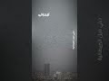 فيديو يوثق آلاف الغربان تحوم فوق سماء تل أبيب في ظاهرة تحدث للمرة الأولى في التاريخ 