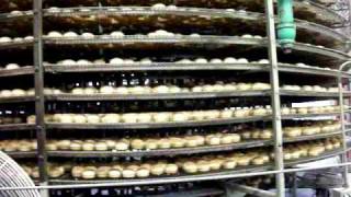 KBI 2010-08-31 0619 Heli-Matic Video.MOV