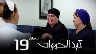 مسلسل كيد الحموات الحلقة      