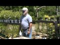 The Rose Man Choosing Roses Rugosa And Hybrid Tea Roses The Rose Man Choosing Roses Rugosa And Hybrid Tea Roses