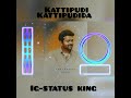 Kattipudi kattipudida- kushi bgm