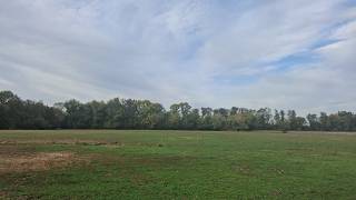 Strolling on a country path: The turn towards individuation
