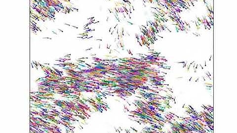 Vicsek model for active matter motion