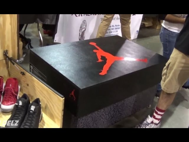 custom jordan shoe case