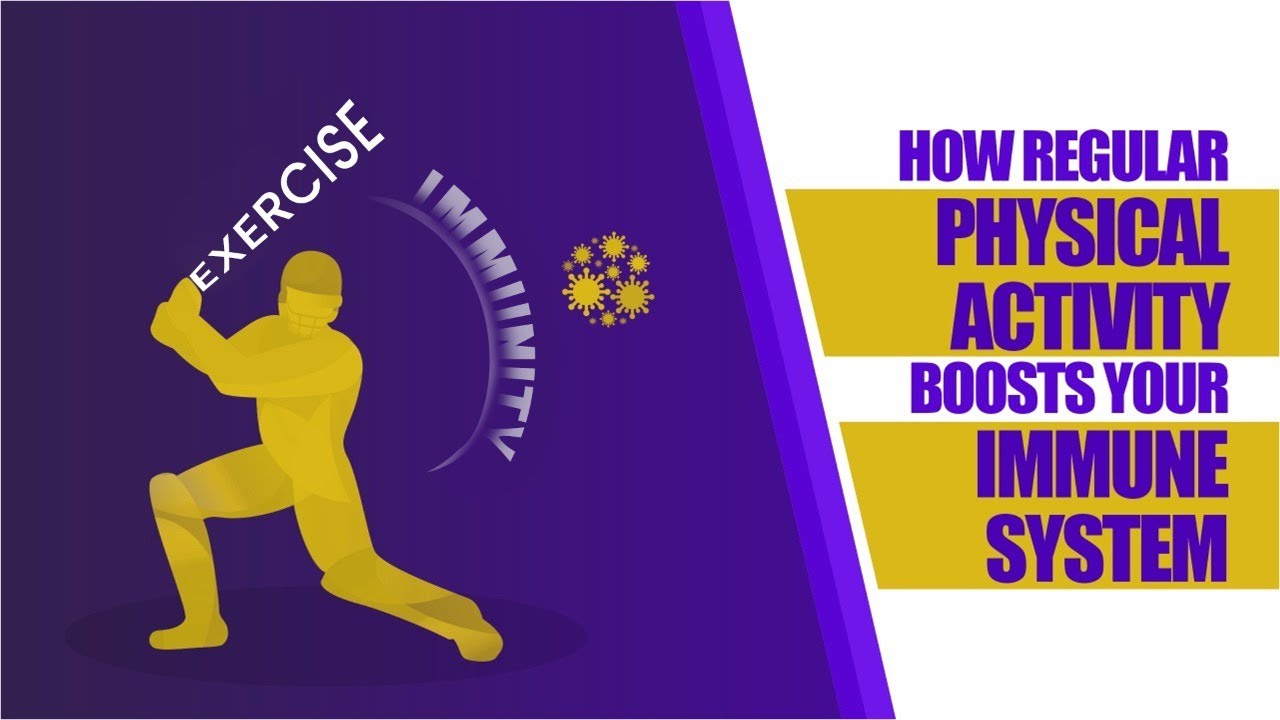 How regular physical Activity boosts your immune system - YouTube