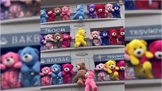 Teddy🧸#Teddy love #whatsapp status #Cute Teddy #whatsapp Songs Editz #teddy song #teddy bear #newest