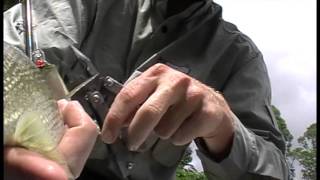 Fishhunt Road Test - Halco Laser Pro 45