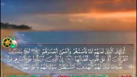 سورة محمد بصوت الشيخ ماهر المعيقلي (بدون إعلانات)