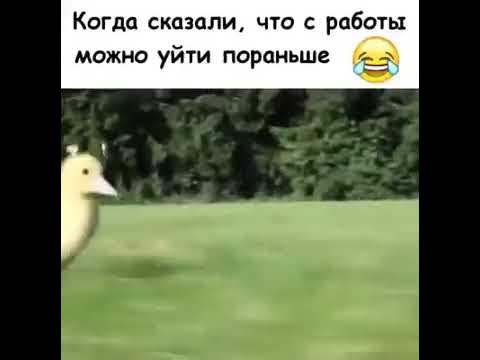 Хочется уйти по раньше. Можно я уйду с работы пораньше. Мем из с дикаприо ди каприо. Хочу домой с работы приколы. Можно уйти пораньше.