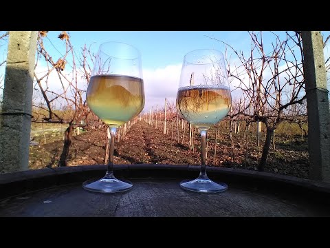 Видео: Защо новите мехове пукат виното?