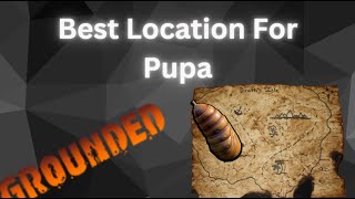 Were To Find Pupa Hide In Grounded