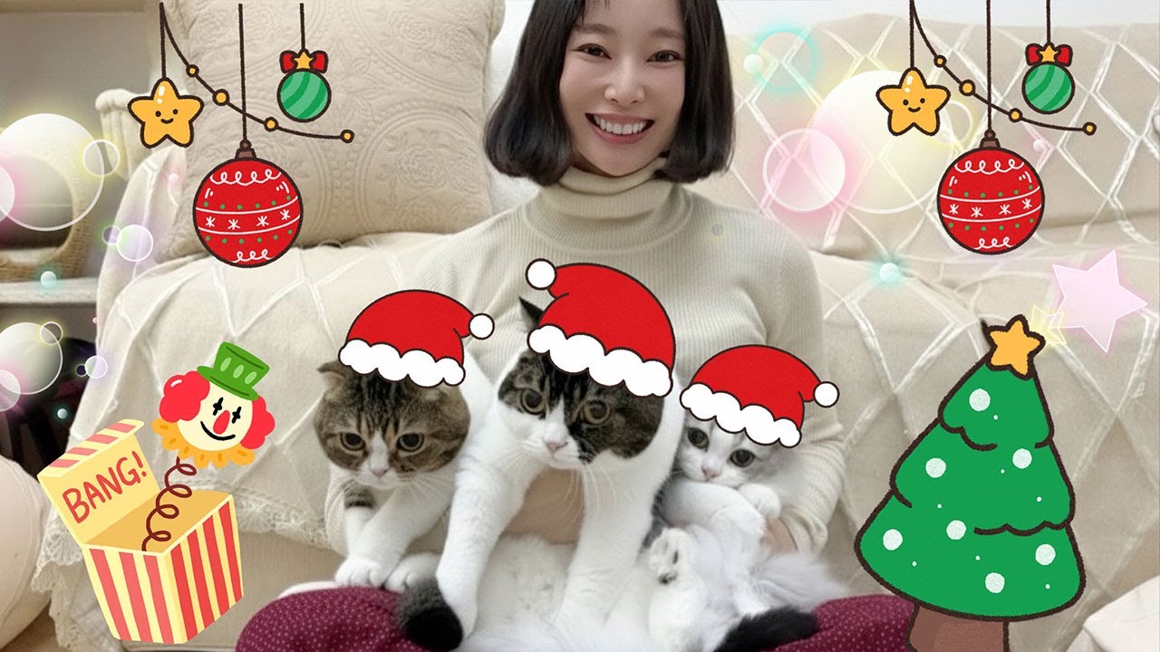 雨の日のねこ様☆メリークリスマス☆ I spent Christmas with my cats and they were so happy and it was
