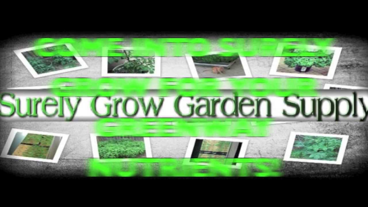 Hydroponic production of fruit tree seedlings in brazil hydroponic gardening vs soil