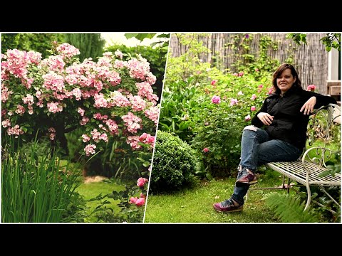 Видео: Садоводство с вертикальными кашпо - Как создать вертикальный сад в органайзере для обуви