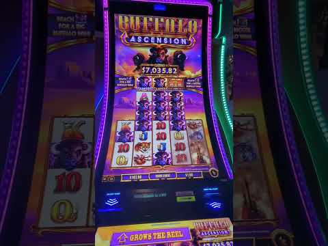 Crazytime & Red Door Roulette Casino Gamplay | Todays Bigwin Crazytime (Part-2) #trending #casino