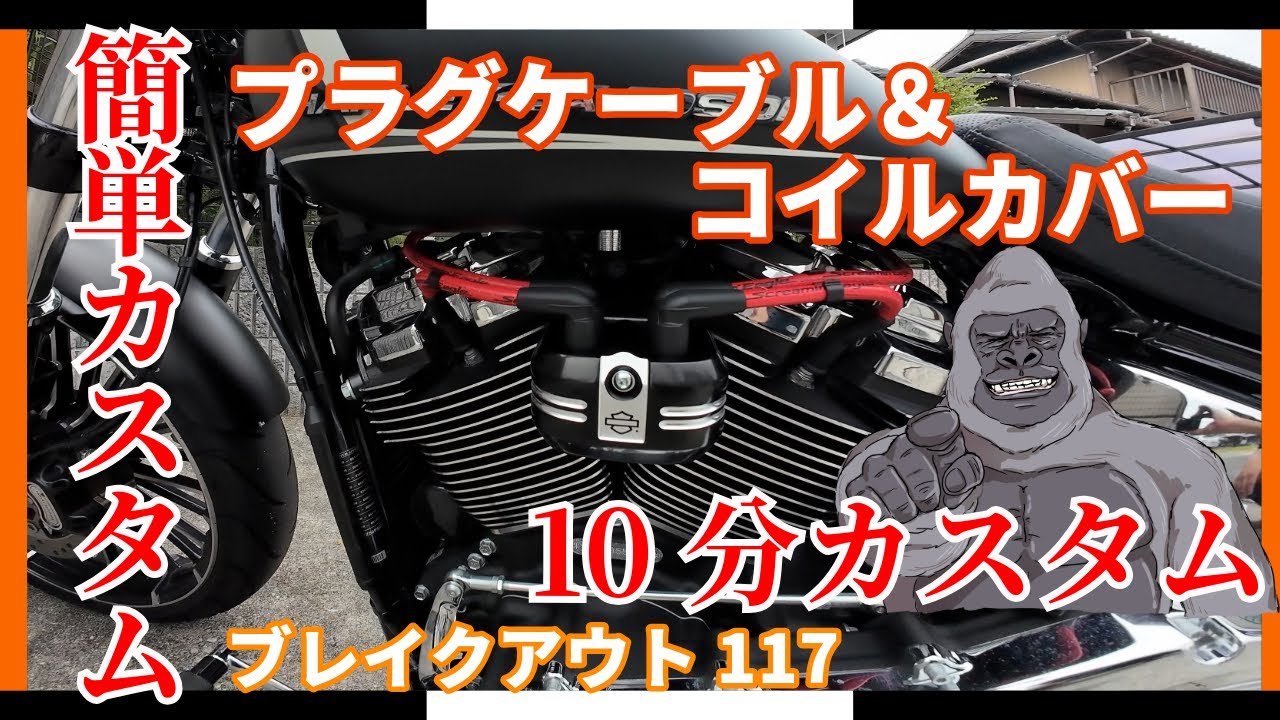 ブレイクアウト】簡単10分カスタム プラグケーブル＆コイルカバー