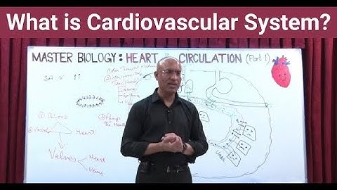 What is Cardiovascular System | Circulatory System | Biology | NEET | GCSE