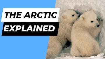 The Arctic Environment - EXPLAINED!!