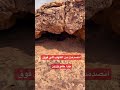 استكشاف الغيران و الكهوف في السعودية اكسبلور التغطيه Birds الرياض خريم جبال طريق 