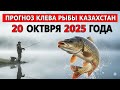 ПРОГНОЗ КЛЁВА в Казахстане на 20 октября 2025 года: Бросай все и на рыбалку!