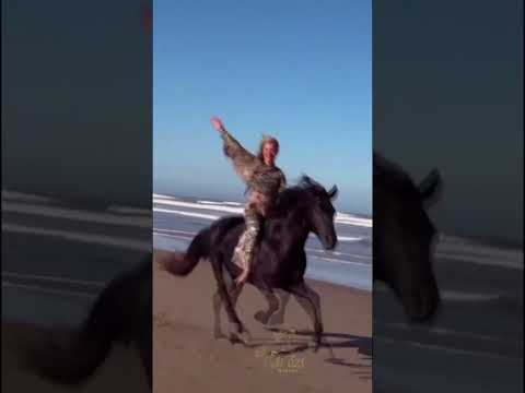 Прогулка на лошадях 20. Horse riding 20. #horses #horsewomen #riding #nature #naturelovers #pets
