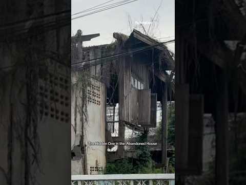 The Hidden One In The Abandoned House Hideandseek Haunted Hiden Viral Viralshort Meme Funny