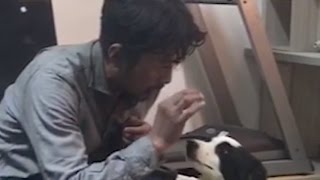 関連動画