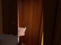 Mai bussare alla porta del tuo vicino di casa o ti succederà questo…???? #shorts #horror #paura