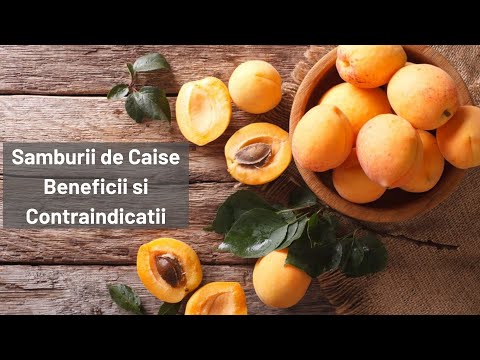 Samburii de CAISE si vitamina B17, Beneficiii si contraindicatii