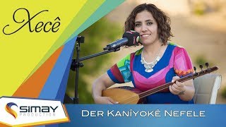 Xecê - Der Kanîyokê Nefele (Akustik Performans) Resimi